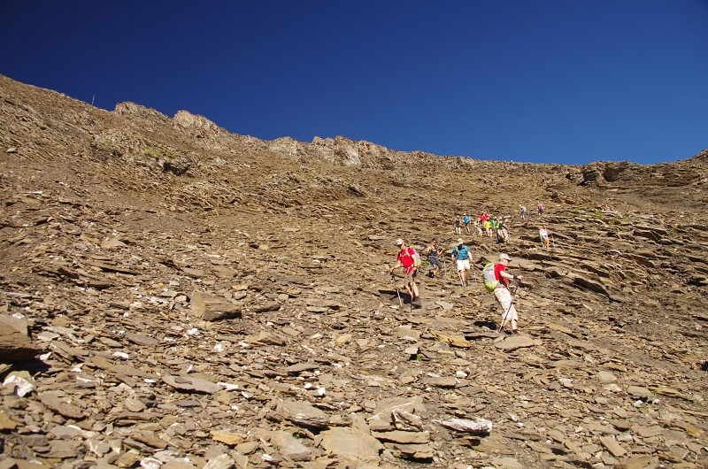 24h Hike Mammut_Ochsner 'Schwarzhorn_First 2166m' 18_08_2012 (43).JPG